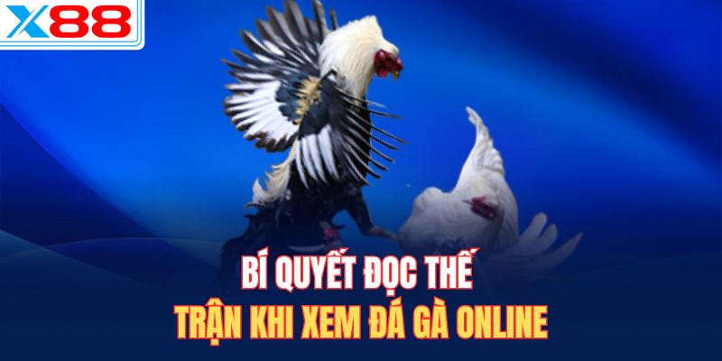 Bí quyết đọc thế trận khi xem đá gà online