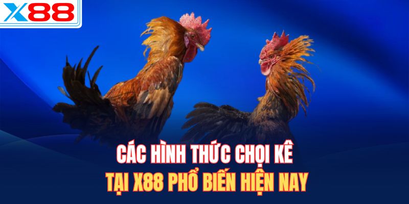 Các hình thức chọi kê tại X88 phổ biến hiện nay