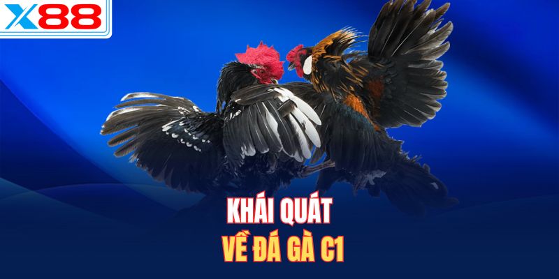 Khái quát về đá gà C1