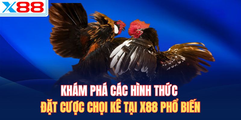 Khám phá các hình thức đặt cược chọi kê tại X88 phổ biến