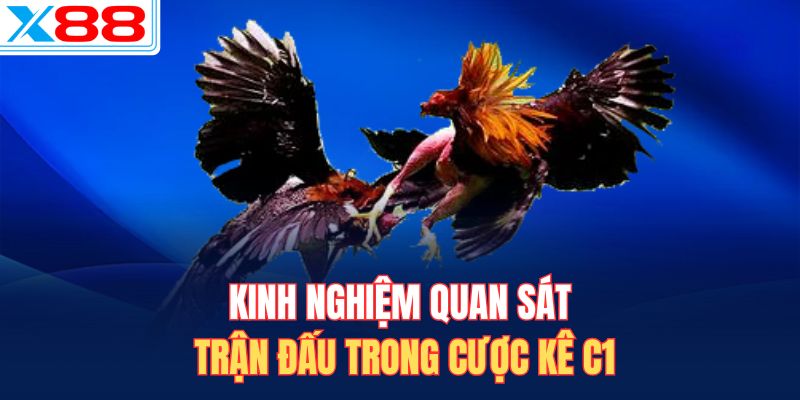 Kinh nghiệm quan sát trận đấu trong cược kê C1
