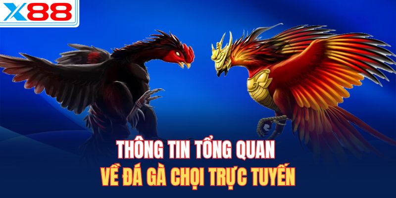 Thông tin tổng quan về đá gà chọi trực tuyến