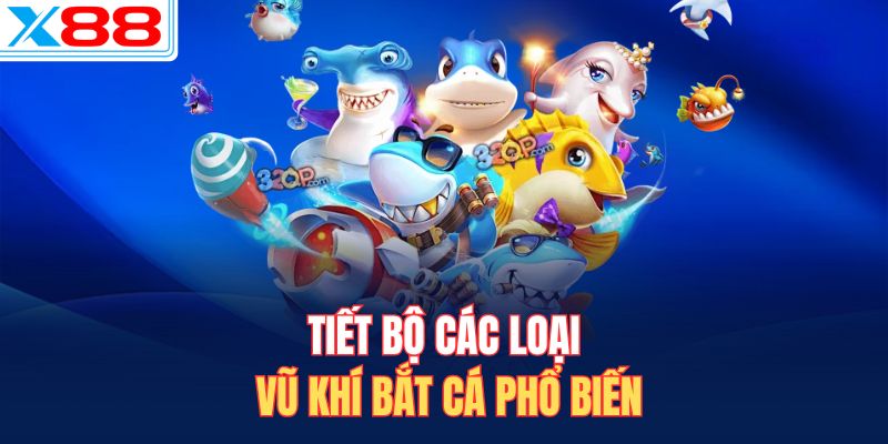 Tiết bộ các loại vũ khí bắt cá phổ biến